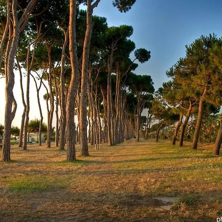 Apartamento Marina 2 Pineto