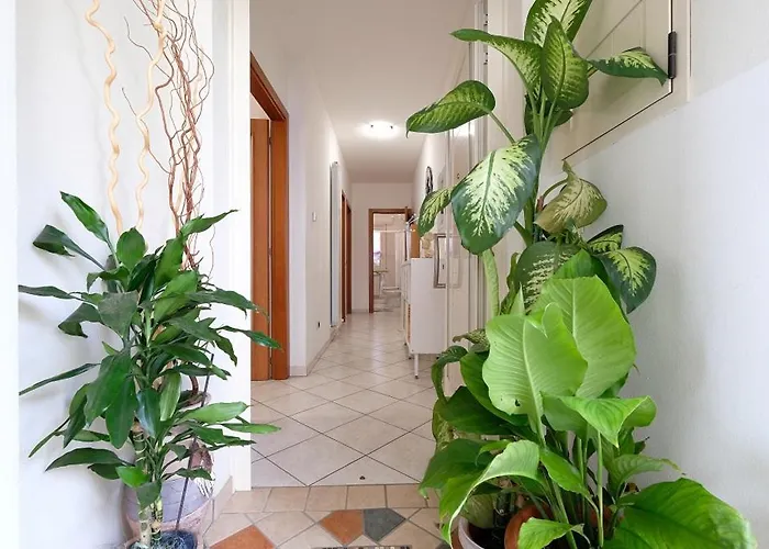 Marina 2 Apartamento