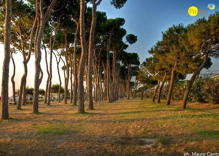 Apartment Marina 2 Pineto